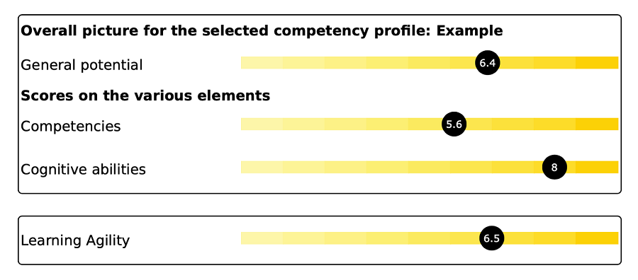 Potential employee competency profile example by Lumenii talent management in South Africa