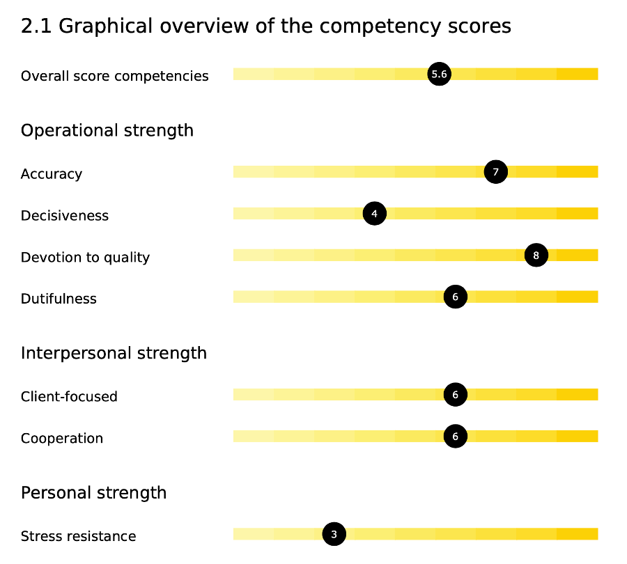 Potential employee competency score example by Lumenii talent management created though detailed online screening