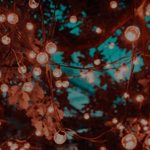 Glowing lights on a tree