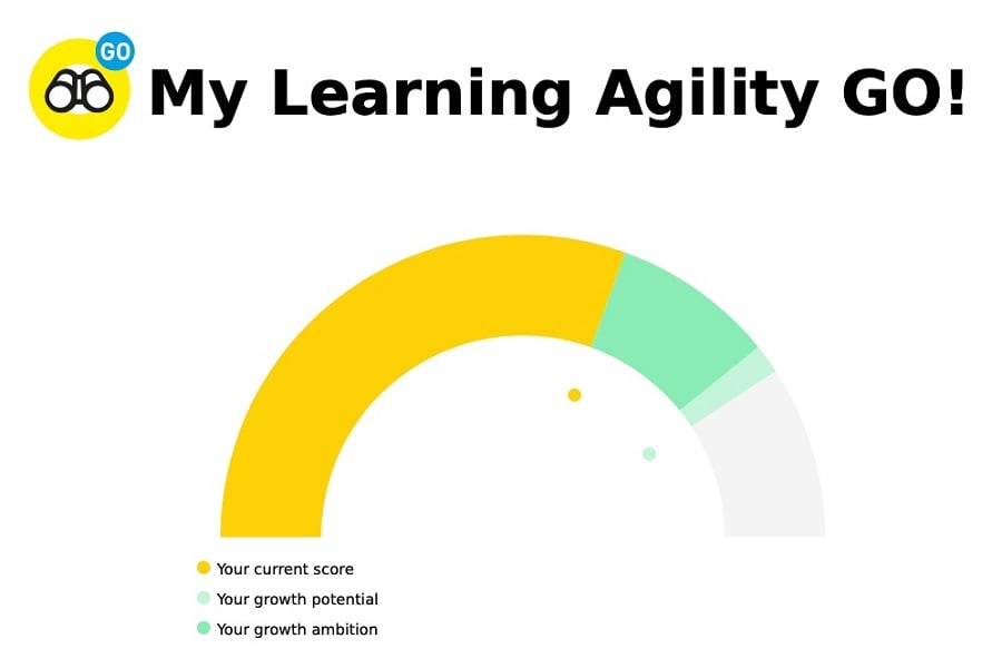 Learning agility development module showing potential vs ambition