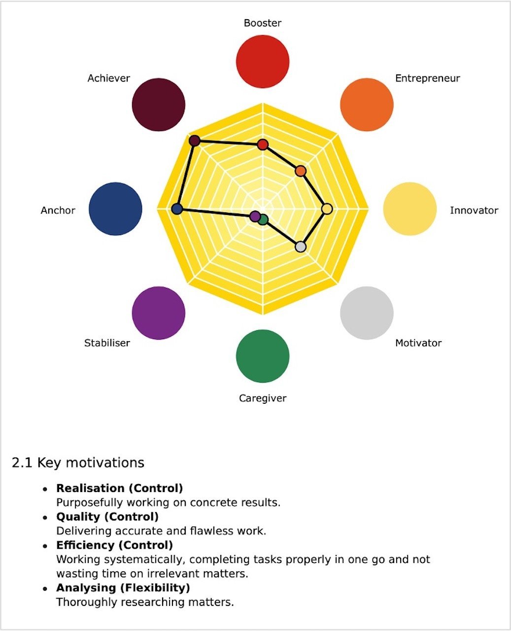 Spidergram showing a candidates motivations and role