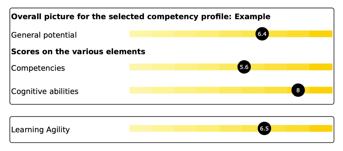 Overview of competency scores in an online selection psychological assessment