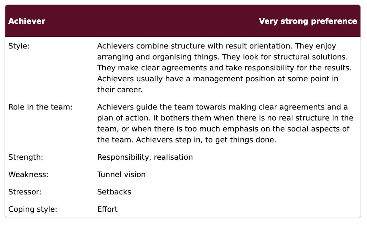 Candidate motivations assessment information about style and role in the team for the line manager